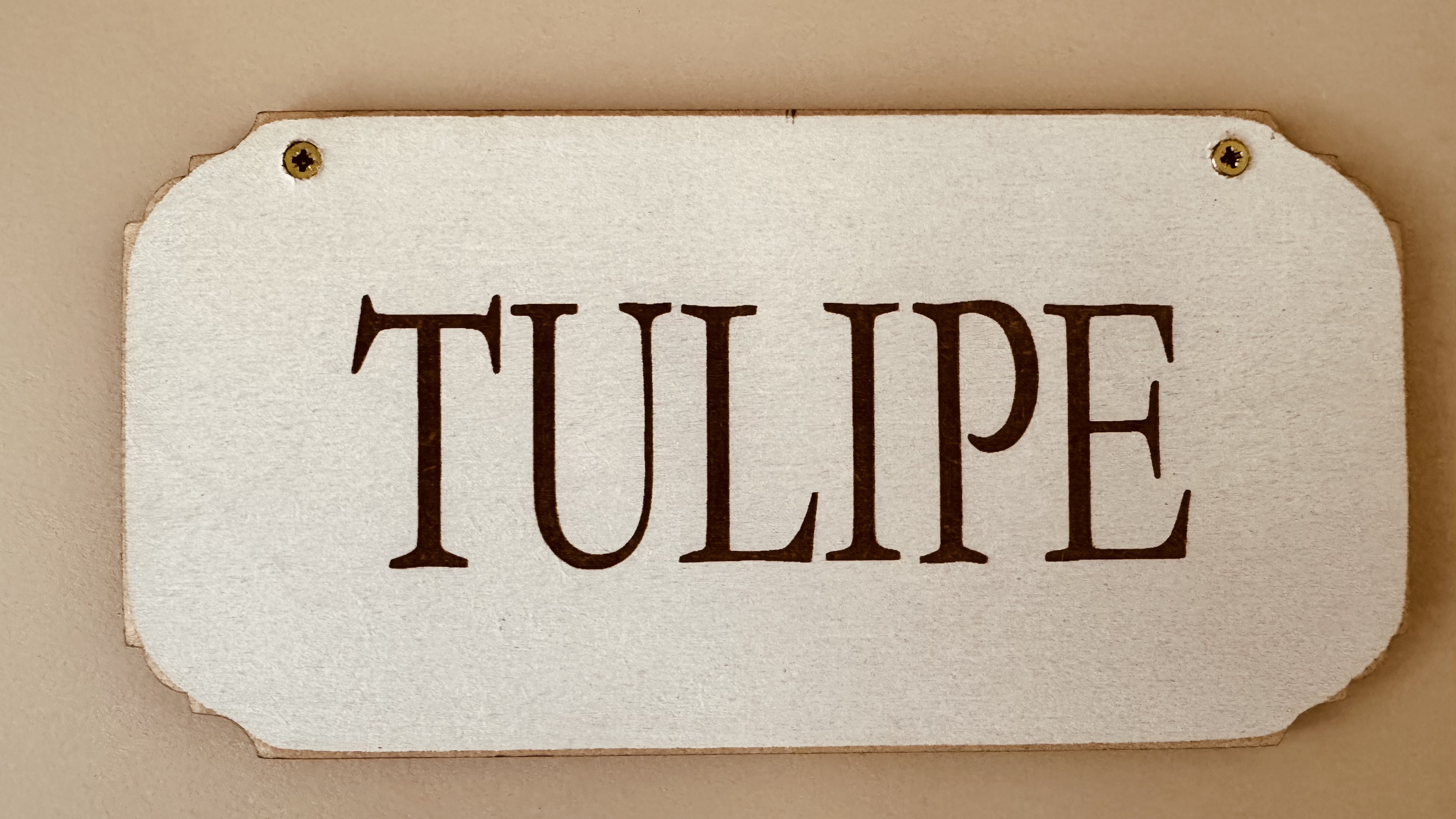 Local Tulipe