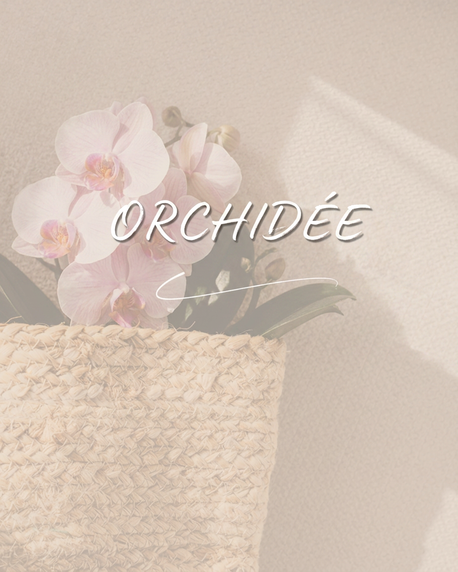 ESPACE Orchidée