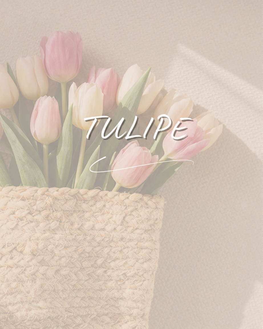 Cabine Tulipe