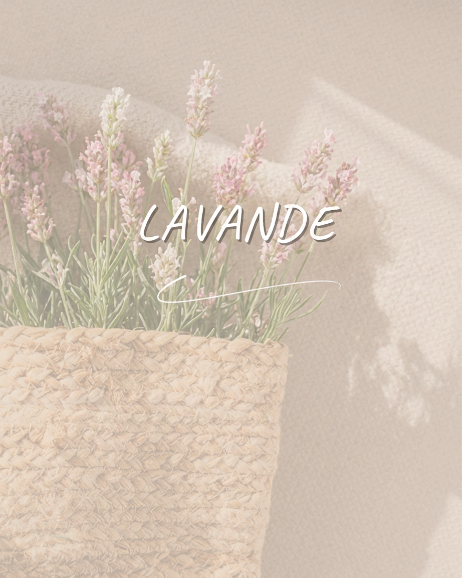 Espace Lavande