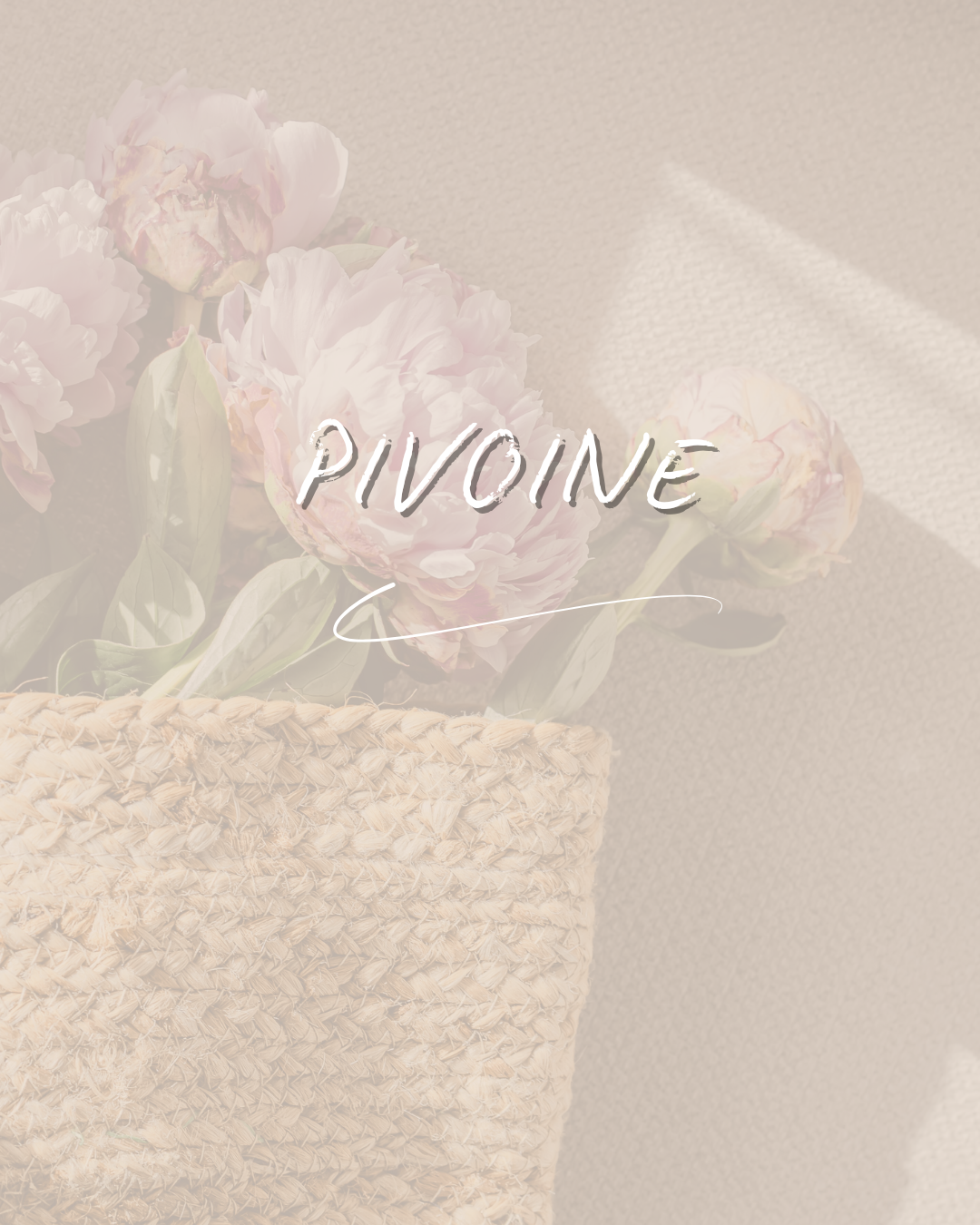 Salle Pivoine